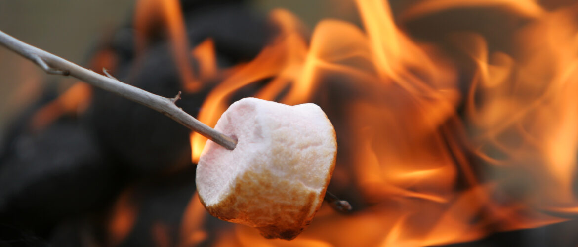 Marshmallow ou guimauve grillant au feu