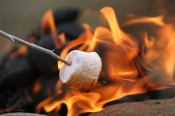 Marshmallow ou guimauve grillant au feu